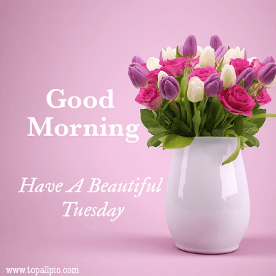 good morning tuesday images good morning tuesday images