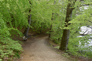 Schmalsee in Mölln