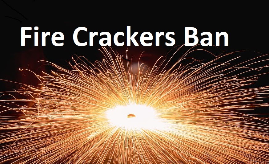 Harmful effects of fire crackers I Diwali Festival Fire Cracker Ban 2021