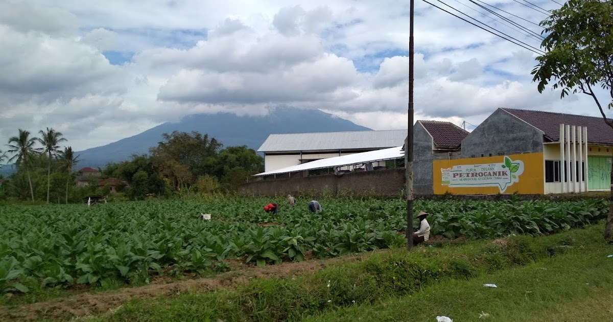 Dataran Rendah dan Pemanfaatannya