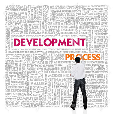 Development process of Business and Finance