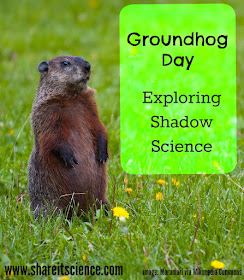 Share it! Science : Saturday Science Experiment: Exploring Shadows and ...
