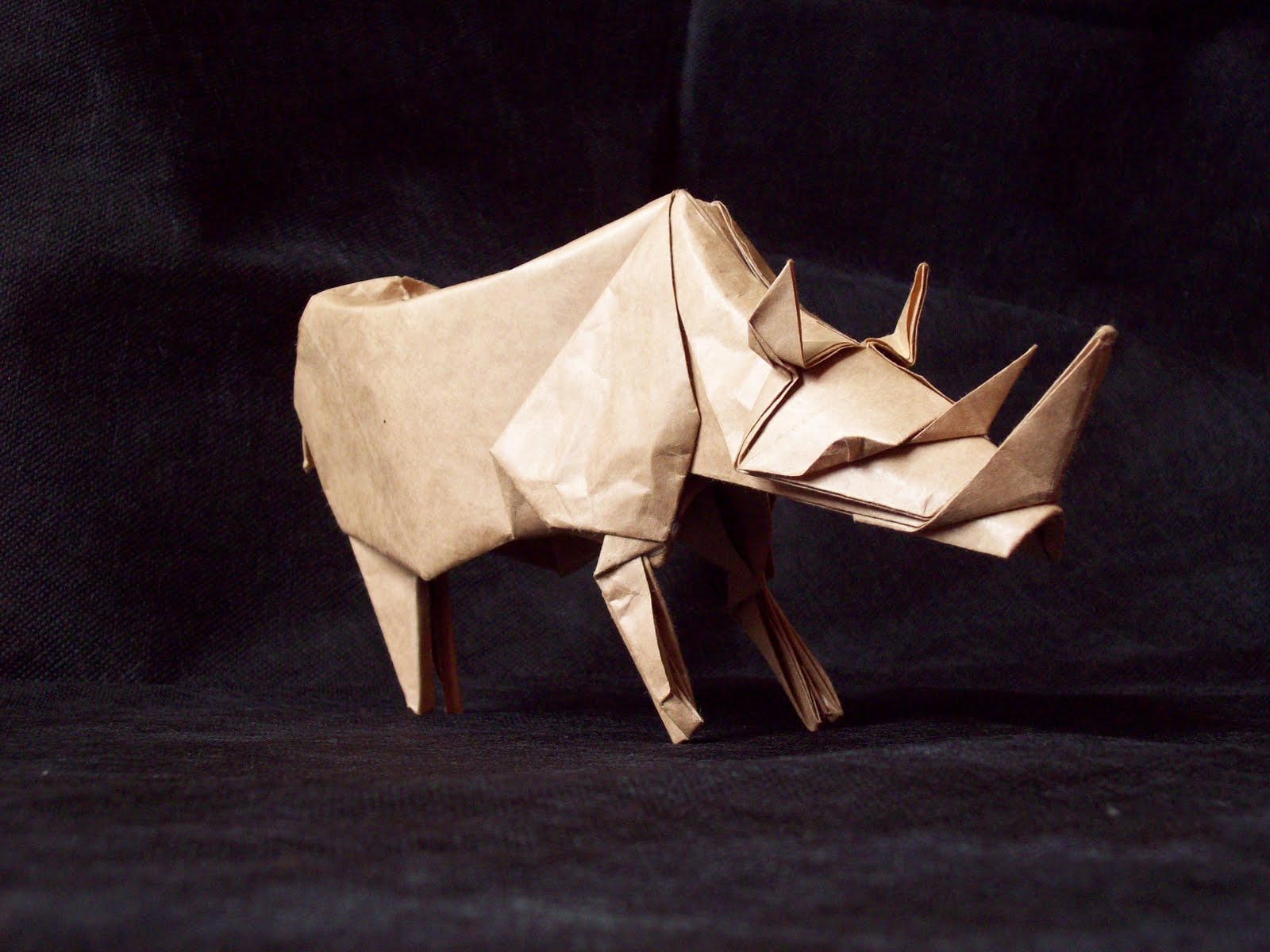 origami rinoceronte de papel Facile dobraduras passarinho dobradura