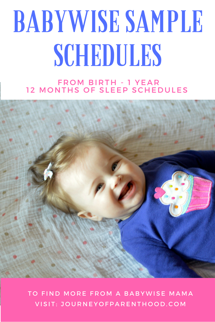 babywise 12 month schedule