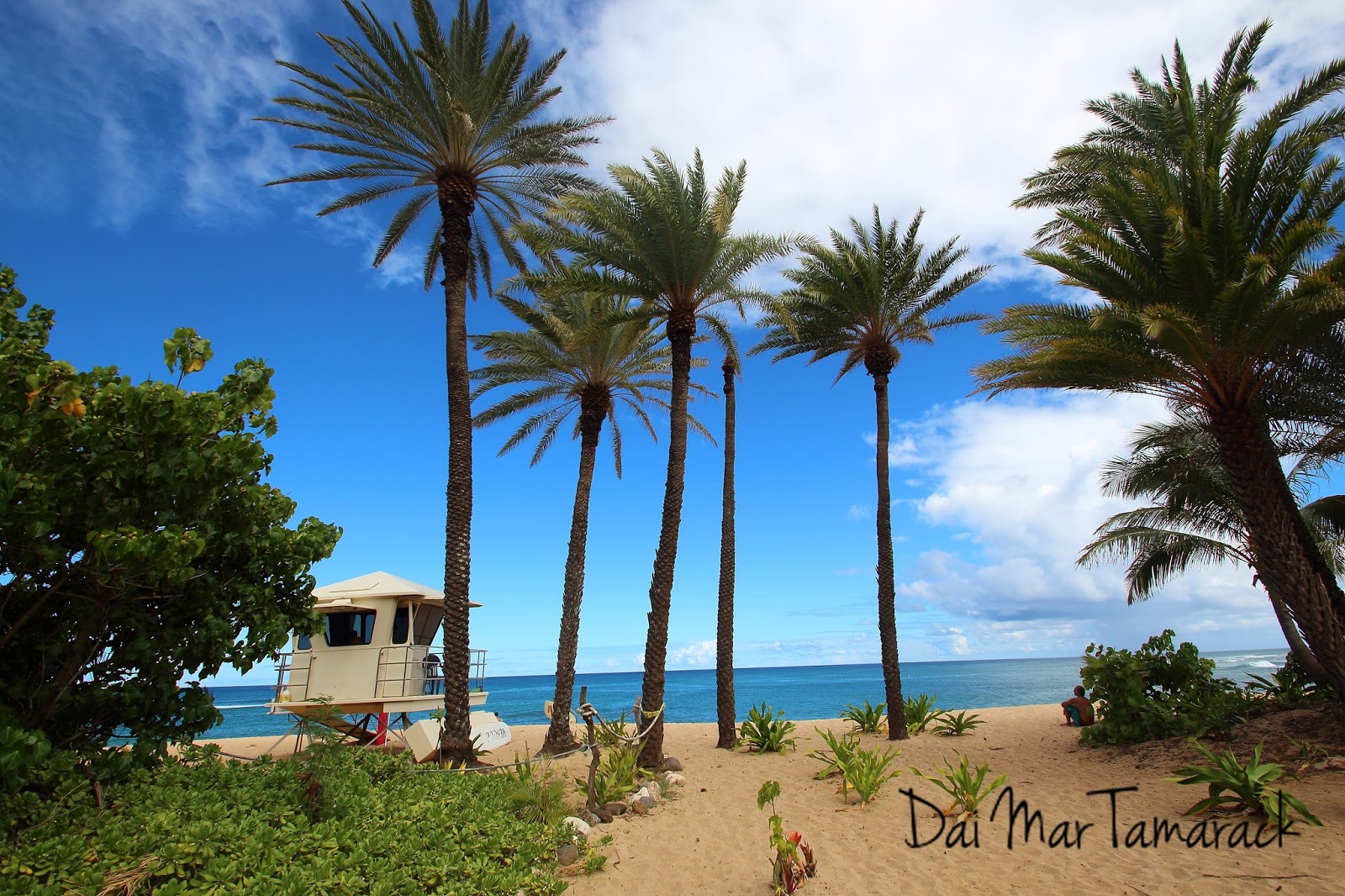 Which Hawaiian Island has the Most Beautiful Beaches