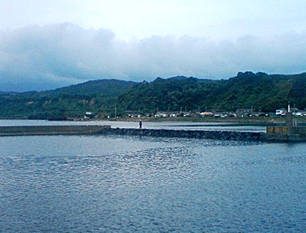 ハイランダー:飛行機から飛び降りた犬、アタカマ砂漠で6日間生存