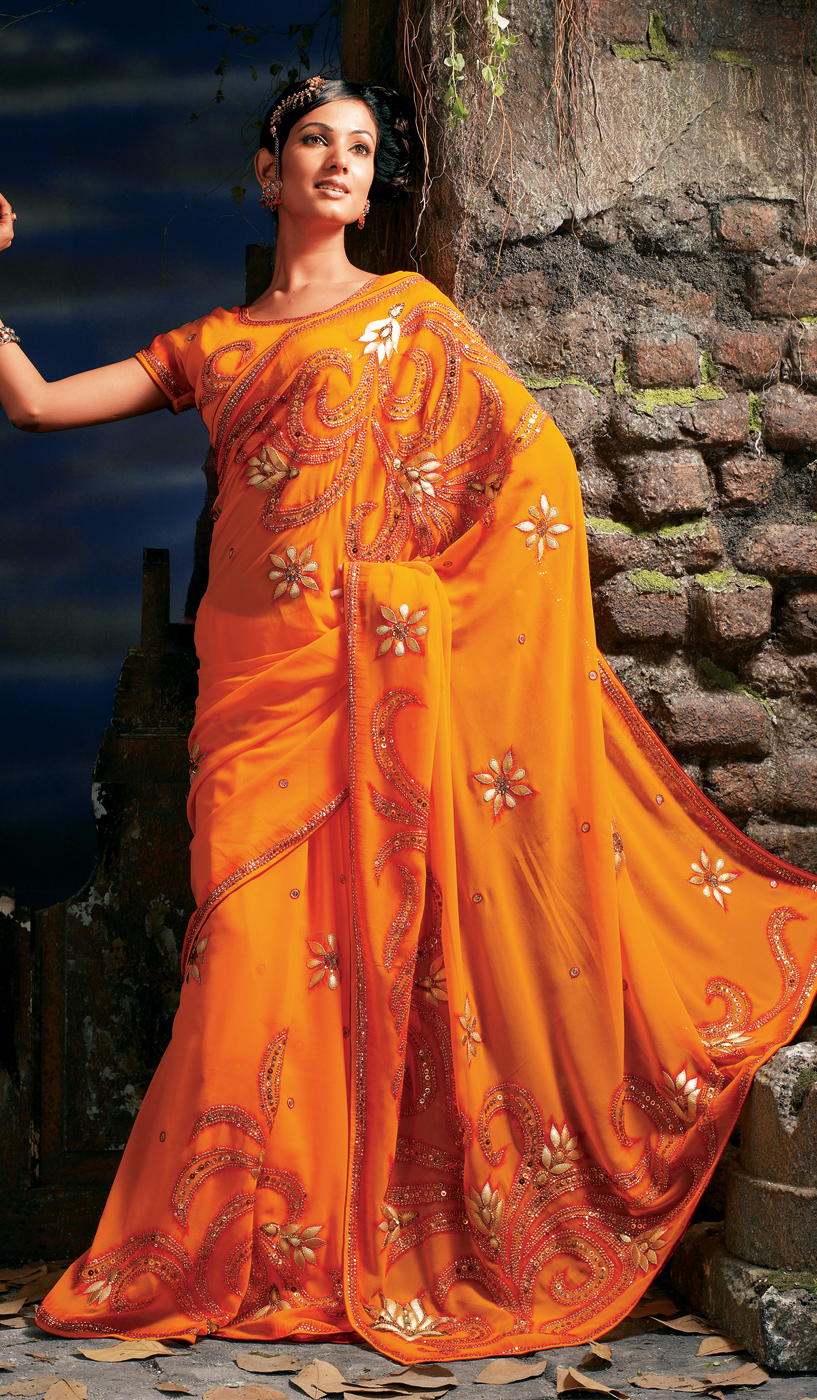 Saree Designs 2013 ~ Fshion clothes
