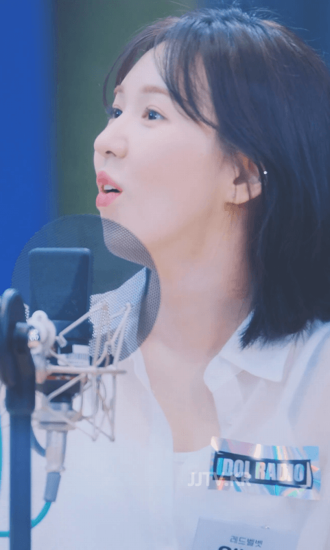 레드벨벳 웬디 아이돌라디오