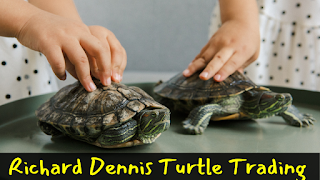 Richard Dennis Turtle Trading in Hindi, turtle trading,