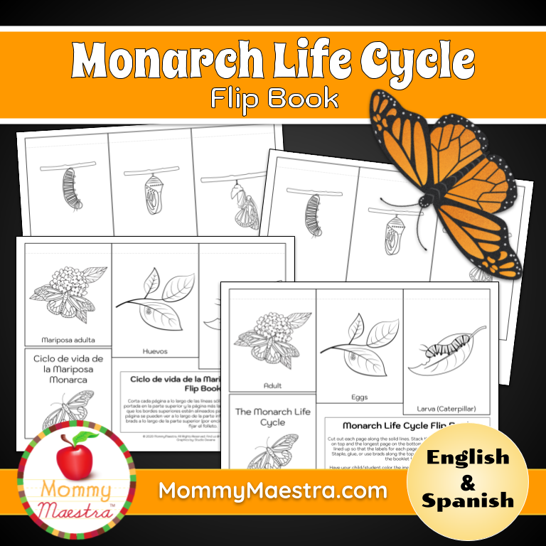 monarch butterfly migration map for kids