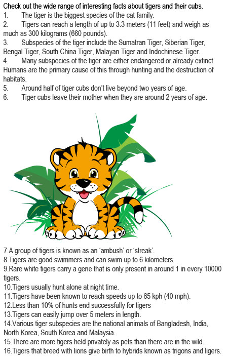 Facts about tigers for kids