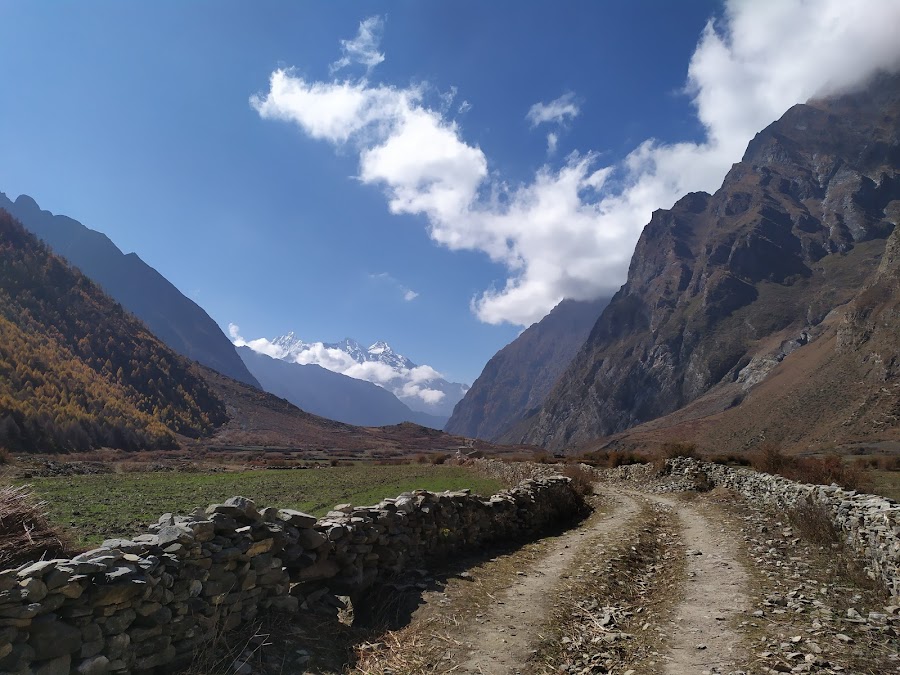 По долине Цум и вокруг Манаслу не галопом, ноябрь 2019.