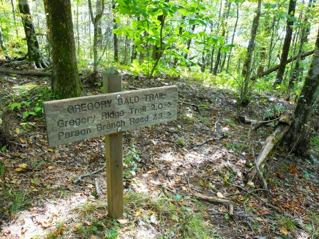Field Notes Backpacking Gregory s Bald NC field-notes-backpacking-gregory-s-bald-nc