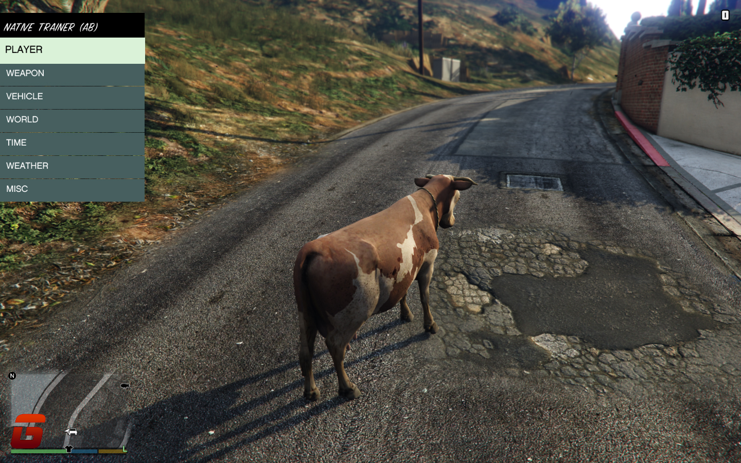 gta v script hook causing crash gta v script hook causing crash
