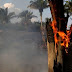 MEIO AMBIENTE / Amazônia ‘chora’ com chamas: incêndio causa comoção na web