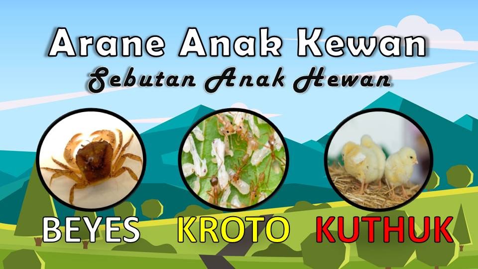18 Arane Anak Kewan 18 Sebutan Anak Hewan 18 Arane Anak Kewan 18 Sebutan Anak Hewan