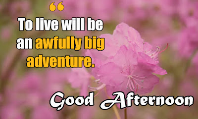 Quotes on good afternoon