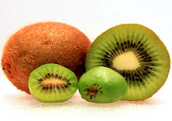 kiwi farming, kiwi farming in india, kiwi fruit cultivation in india, kiwi cultivation, kiwi fruit plantation in india, kiwi fruit tree in india, kiwi in india, kiwi farm in india, kiwi fruits in india, kiwi farming business, commercial kiwi farming, commercial kiwi farming business, how to start kiwi farming