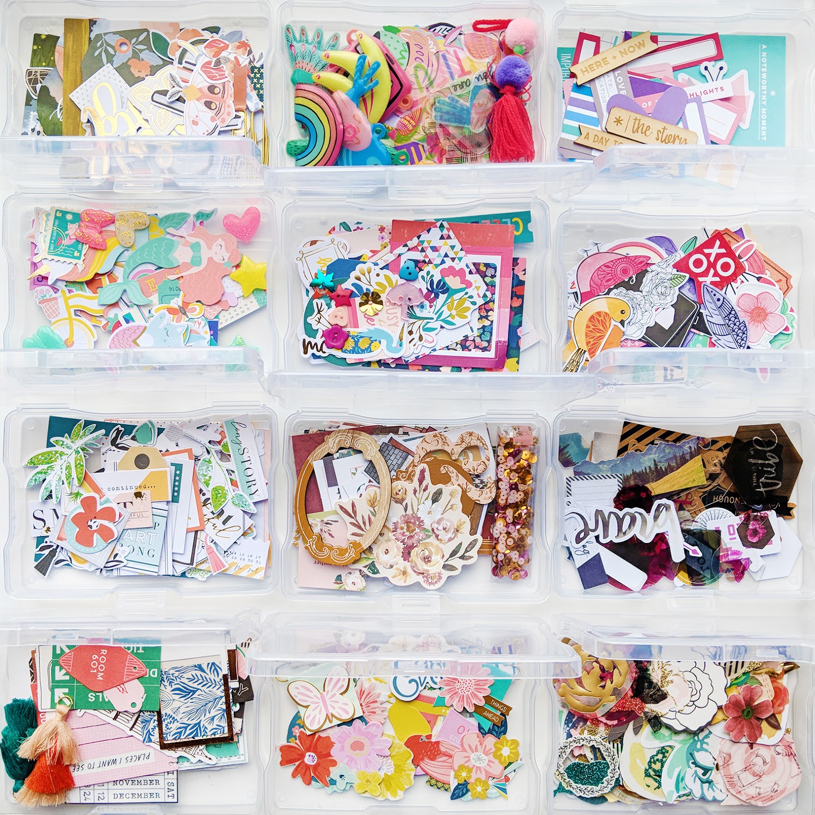 Storage Solutions Paige Taylor Evans