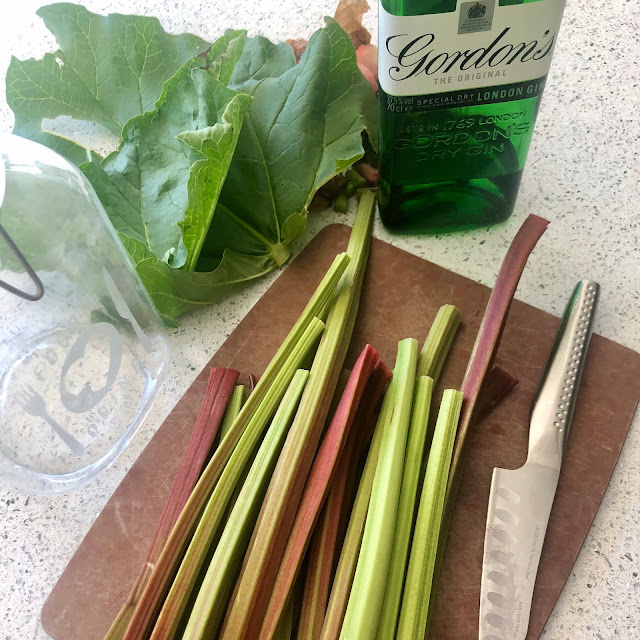 Homemade Rhubarb Gin Liqueur Foodie Quine Edible Scottish Adventures