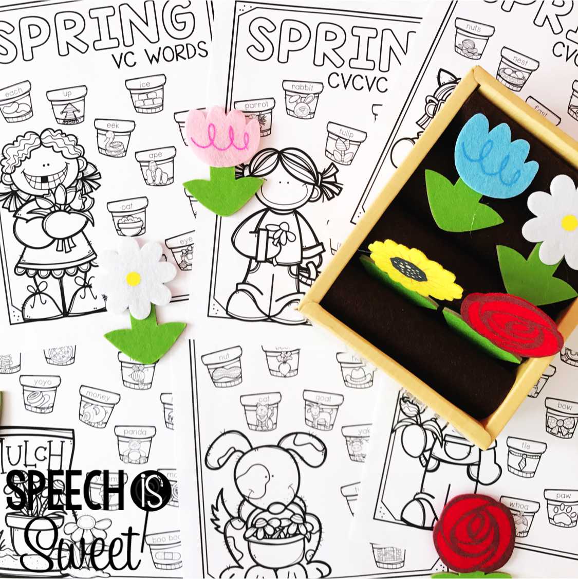Speech is Sweet Garden Theme in Speech Therapy!