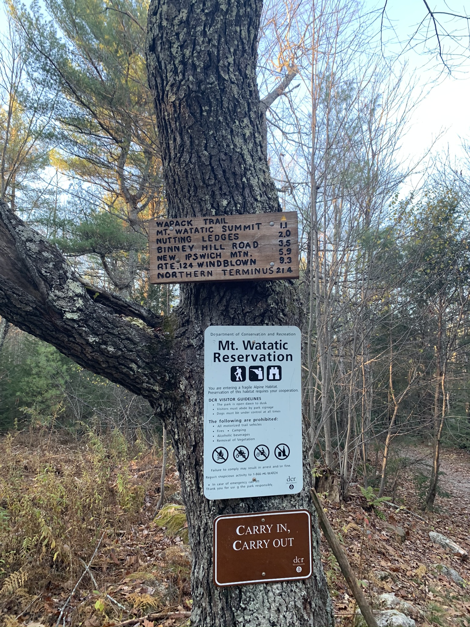 wapack trail camping