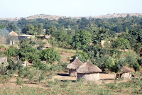Mozambique-cases 2