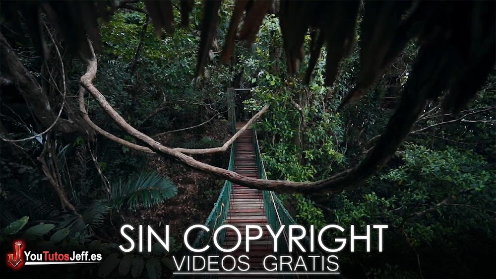 Descargar Vídeos Sin Copyright para Tus Proyectos
