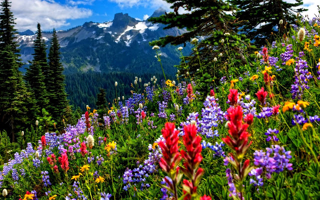 Fond ecran printemps montagne Fonds d'écran HD Fond ecran printemps montagne Fonds d'écran HD