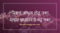 Pikla Jambhul Todu naka Lyrics in Marathi
