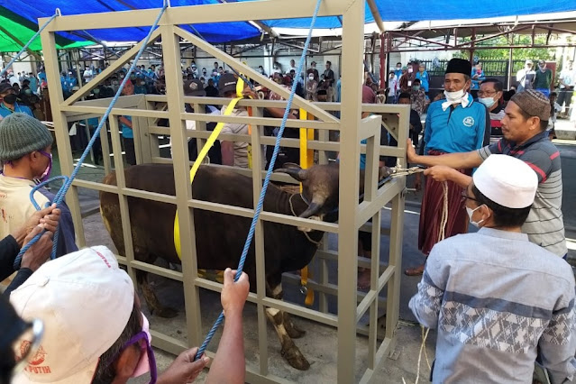 Idul Adha 1442 H, Warga Desa Kelayu kurban 50 ekor sapi