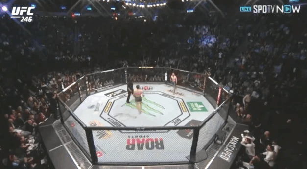 1.gif
