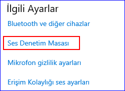 Ses denetimi masası