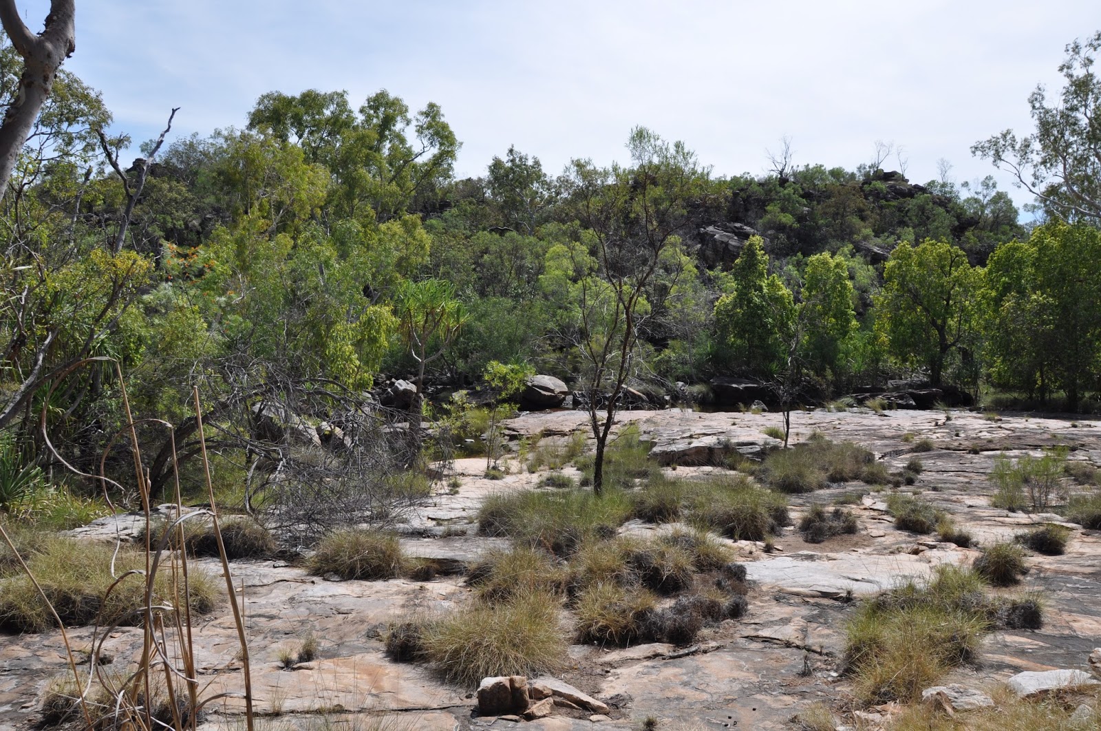 BarbaraTVan: BARBARA'S KIMBERLEY ADVENTURE - THE GIBB RIVER ROAD TO ...