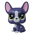 Littlest Pet Shop Abner Generation 6 Pets Pets