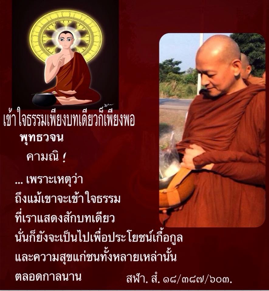 My Image 23