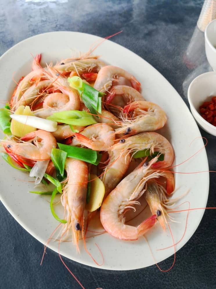 James Fish Farm Kudat, Sabah.