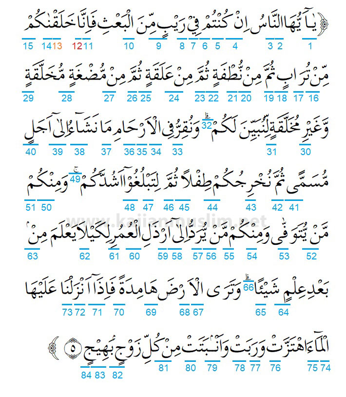 Hukum Tajwid Surat Al Hajj Ayat 5 Penjelasan Lengkap Per Kata