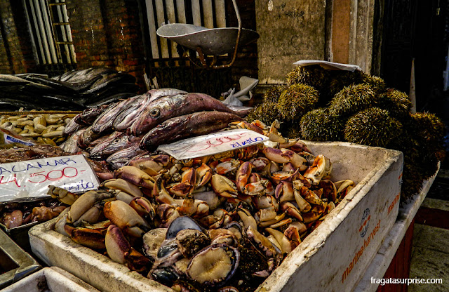 Frutos do mar no Mercado Central de Santiago do Chile