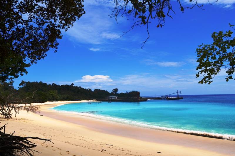 Pantai Linau 11 Wisata Pantai di Bengkulu yang Cantik dan Menarik Dikunjungi