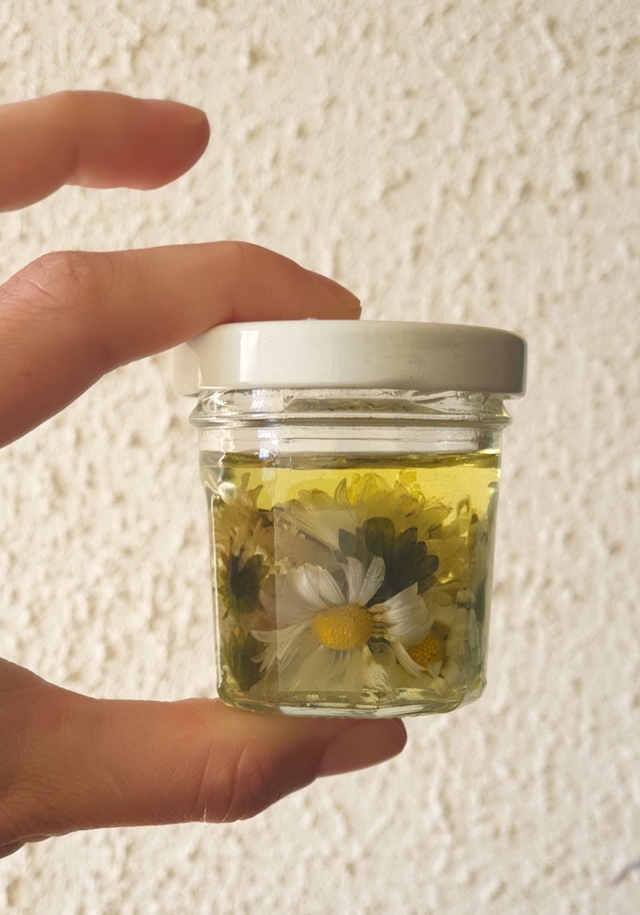 oil with daisies