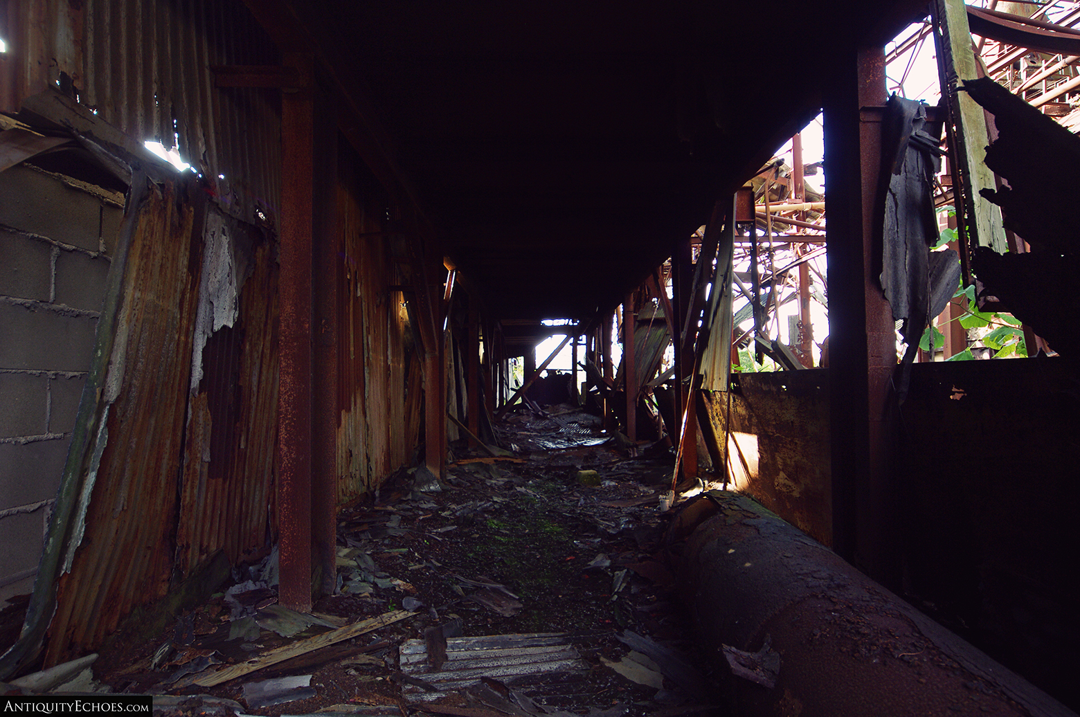 Tuckerton Fish Factory - Corridor to Nowhere