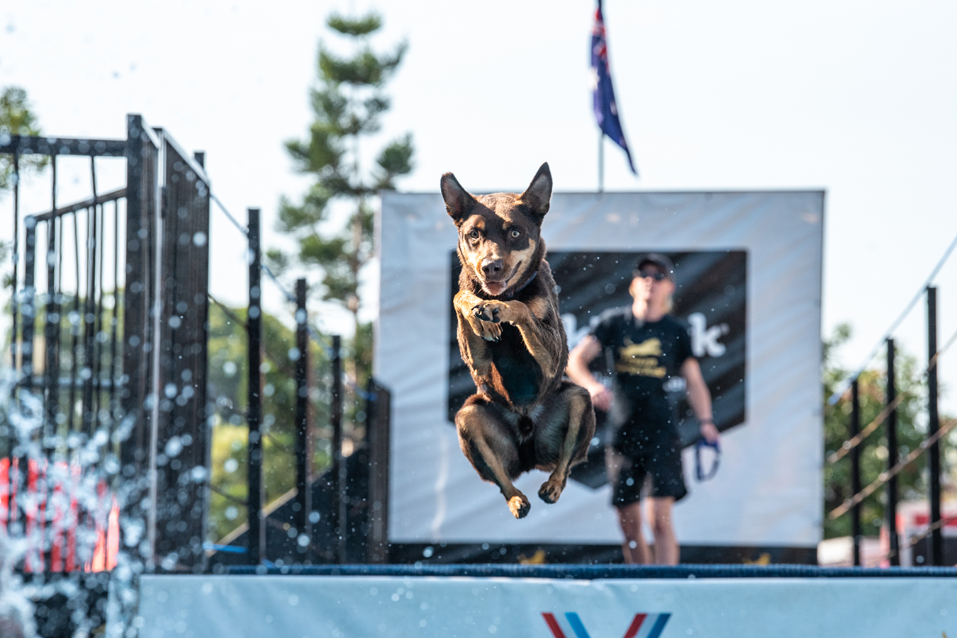 Sydney Dog Lovers Show August 3 & 4 Australian Dog Lover