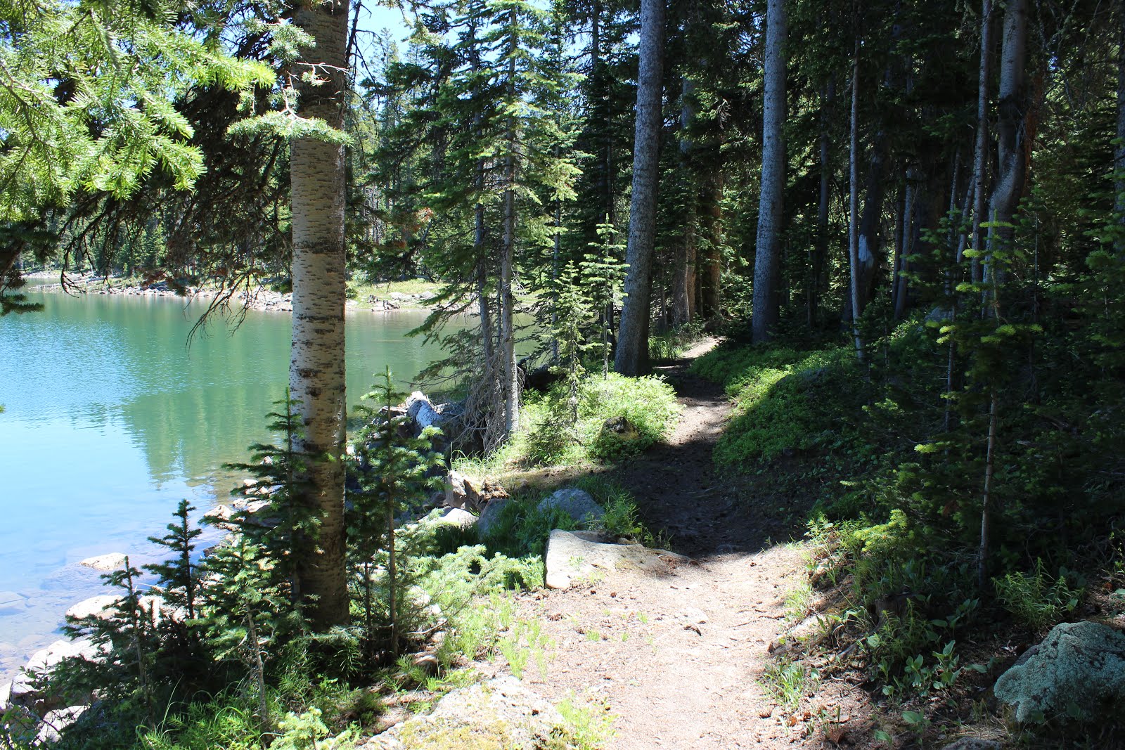 Ward Lake Loop