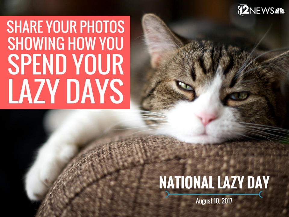National Lazy Day National Lazy Day