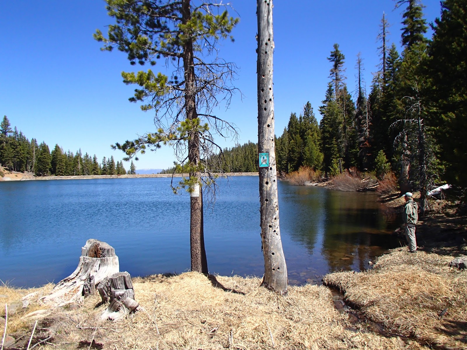 Sawmill Lake Fly Fishing 2015