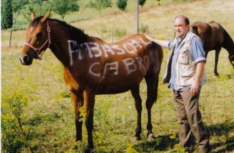 Pablo Casado, eres nuestra única esperanza - Página 6 Abascal%2Bcaballo