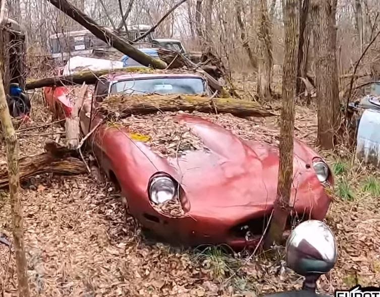 Just A Car Guy Abandoned Classic Cars Rotting Away Deep In The Maryland Woods Everything From Early Porsche 911s 912 356 S To Jaguar E Types
