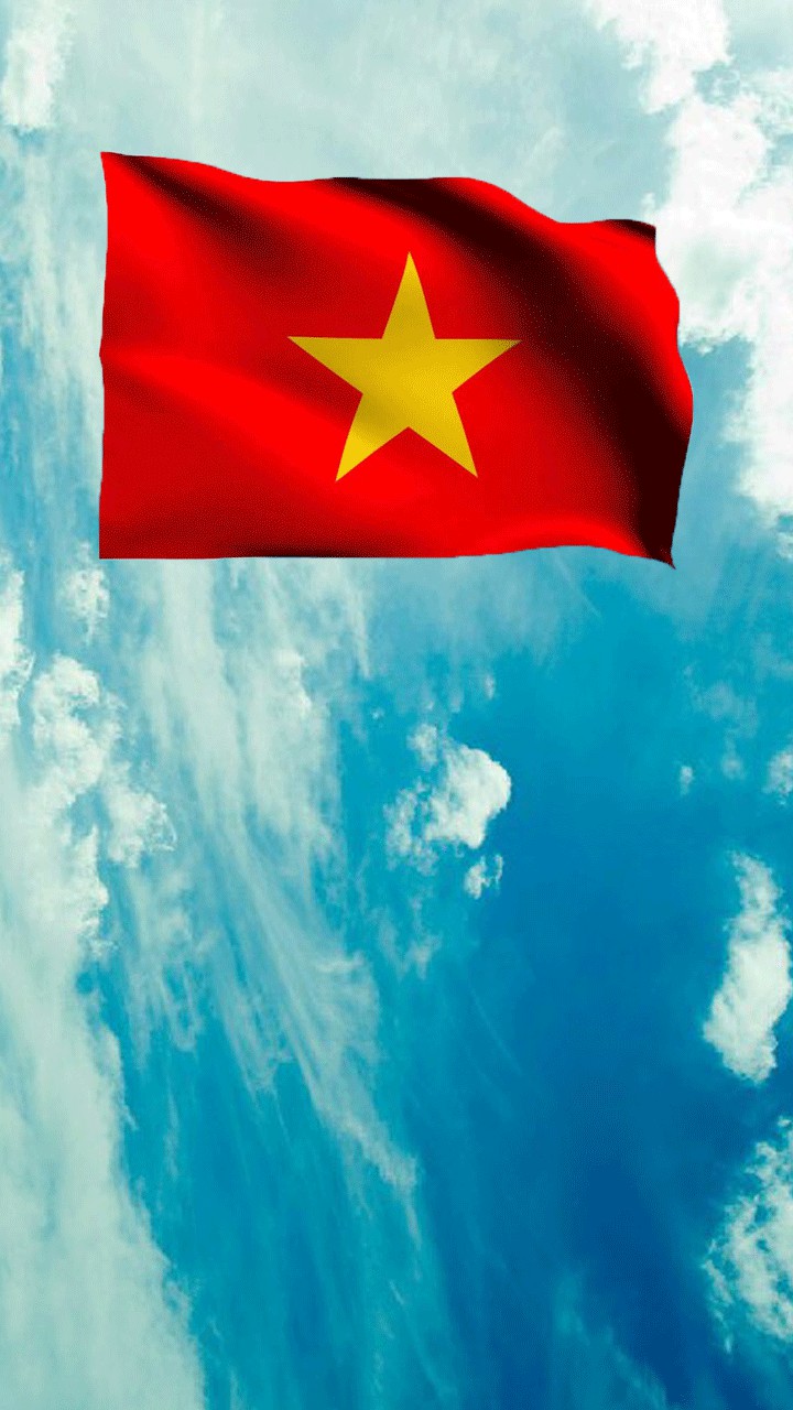 Hình nền lá cờ Việt Nam sẽ mang đến cho bạn sự tự hào và cá tính. Hãy khoe sự yêu nước của mình với những hình ảnh thể hiện vẻ đẹp sáng tạo và tinh tế của lá cờ vàng.