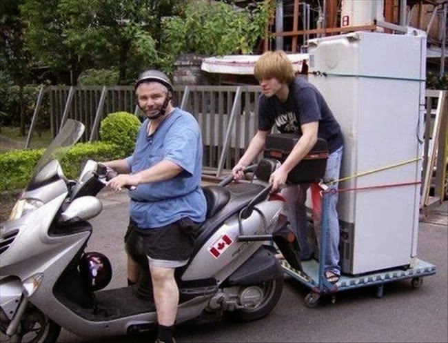 Heights of Stupidity